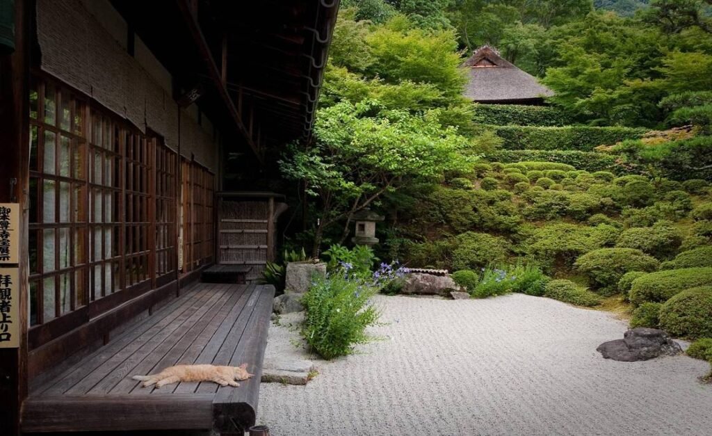 Zen Garden