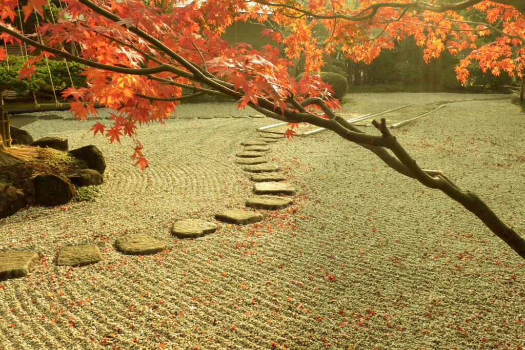 Stepping Stones on Gravel 